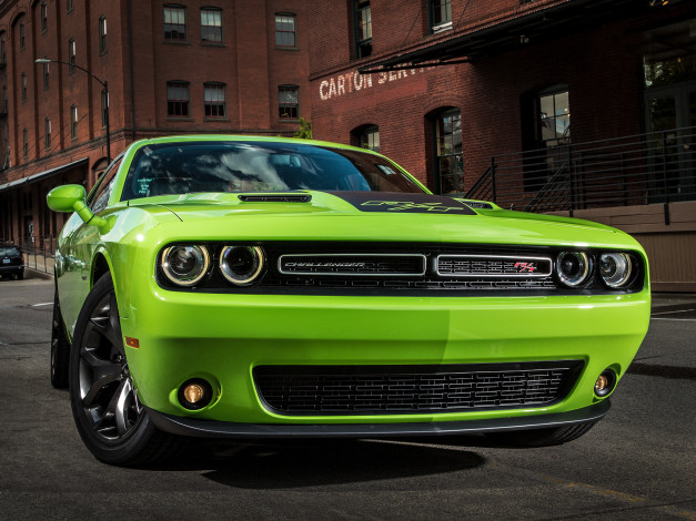 Обои картинки фото автомобили, dodge, зелений, r-t, challenger, lc, 2015г