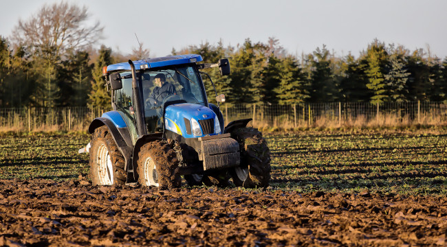 Обои картинки фото техника, тракторы, трактор, поле
