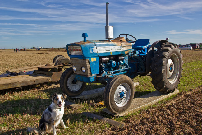 Обои картинки фото техника, тракторы, поле, трактор
