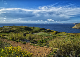 Картинка природа побережье цветы трава поля земля водоем облака