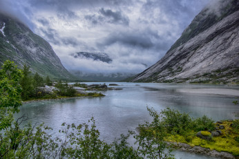 Картинка природа реки озера река лес