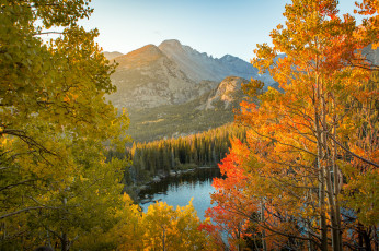 Картинка природа реки озера река лес