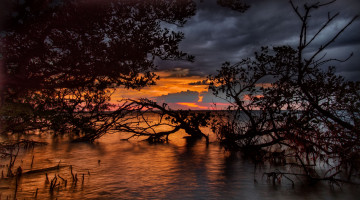 Картинка природа реки озера река лес