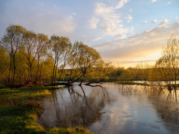 Обои картинки фото природа, реки, озера, река, лес