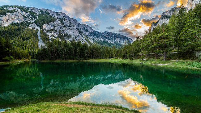 Обои картинки фото природа, реки, озера, река, лес