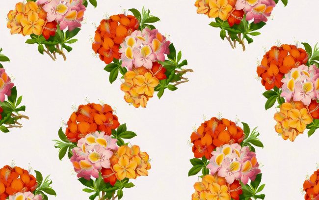 Обои картинки фото векторная графика, цветы , flowers, цветы, фон