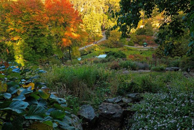 Обои картинки фото австралия, природа, парк, камни, цветы, деревья