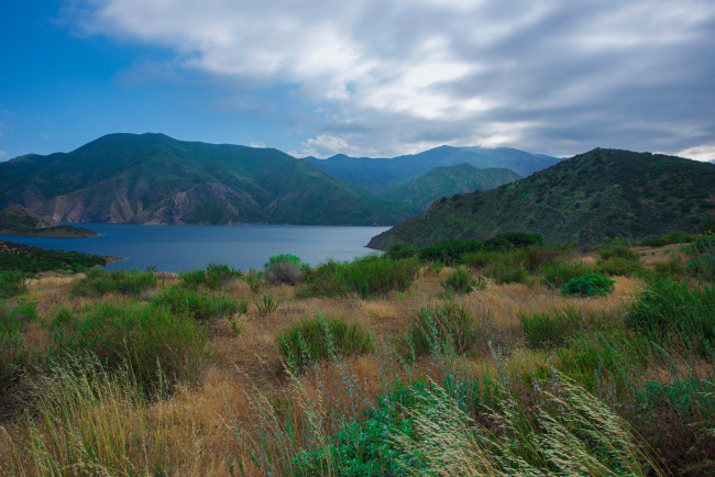 Обои картинки фото природа, реки, озера, река, лес