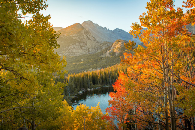 Обои картинки фото природа, реки, озера, река, лес