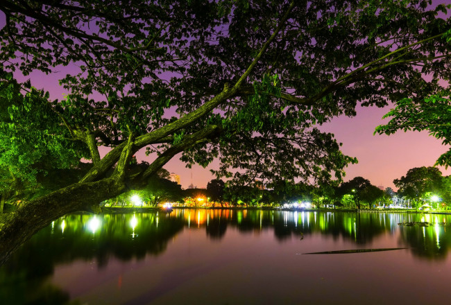 Обои картинки фото города, - огни ночного города, водоем, деревья, фонари, ночь