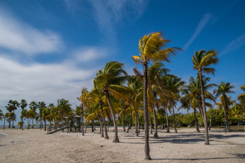 Картинка природа тропики простор