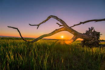 Картинка природа восходы закаты простор