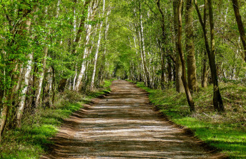 Картинка природа дороги простор