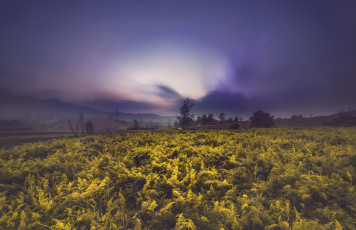 Картинка природа поля простор