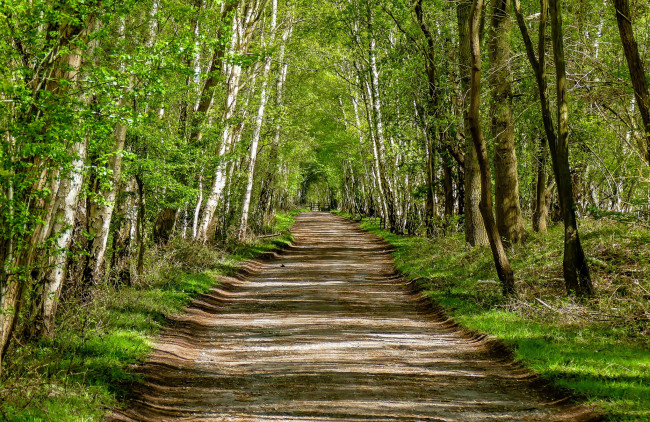 Обои картинки фото природа, дороги, простор