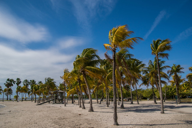 Обои картинки фото природа, тропики, простор