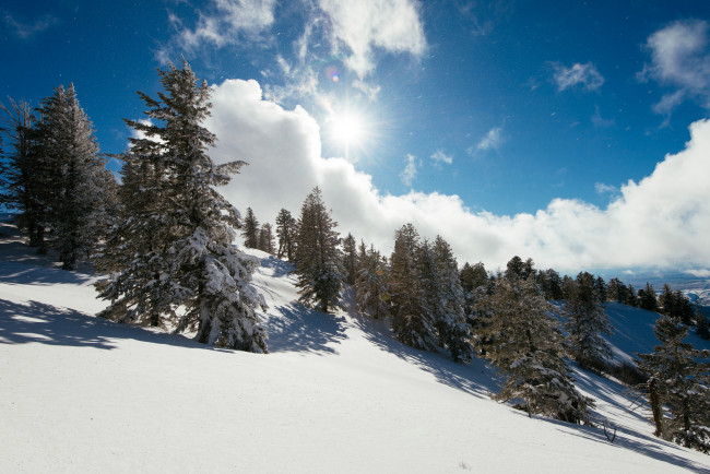 Обои картинки фото природа, зима, простор