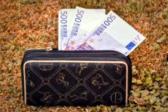 Картинка разное золото +купюры +монеты кошелек евро