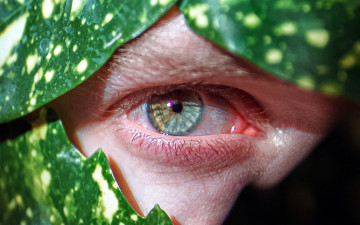 Картинка разное глаза глаз макро