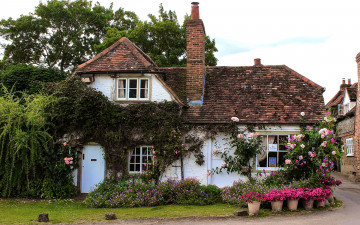 Картинка города -+здания +дома дом труба цветы