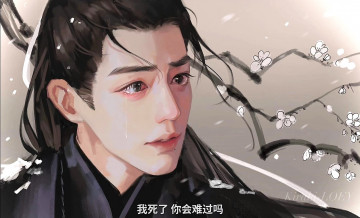 Картинка рисованное кино +мультфильмы сяо чжань ветка