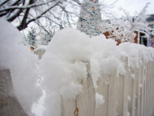 Картинка природа зима снег