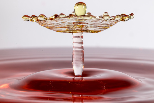 Обои картинки фото helen davies, разное, капли,  брызги,  всплески, жидкость