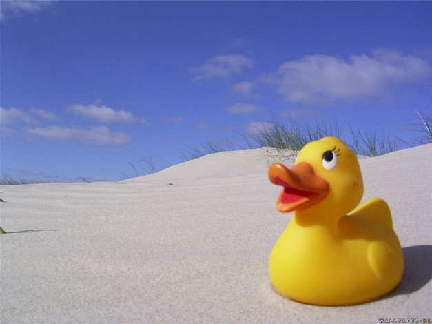 Обои картинки фото utenok, разное, игрушки