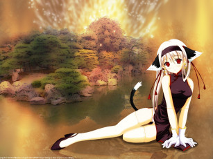 Картинка аниме *unknown другое