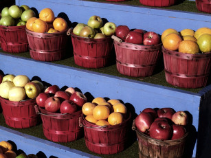 Картинка еда фрукты ягоды