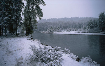 Картинка природа