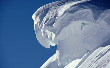 Картинка природа