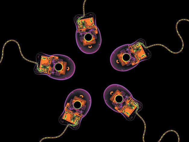 Обои картинки фото рентген, 10, разное