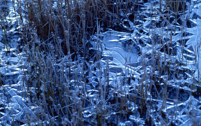 Обои картинки фото природа