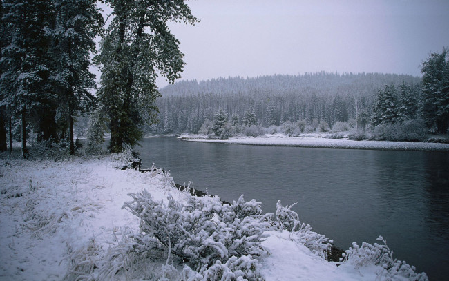 Обои картинки фото природа