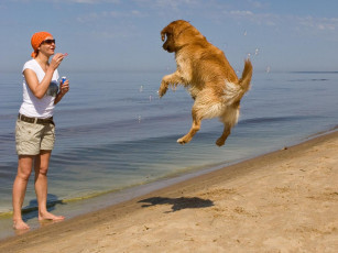 Картинка юмор приколы