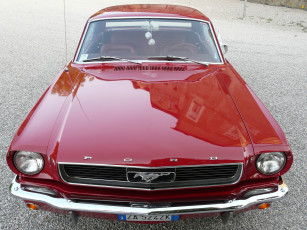 Картинка автомобили mustang