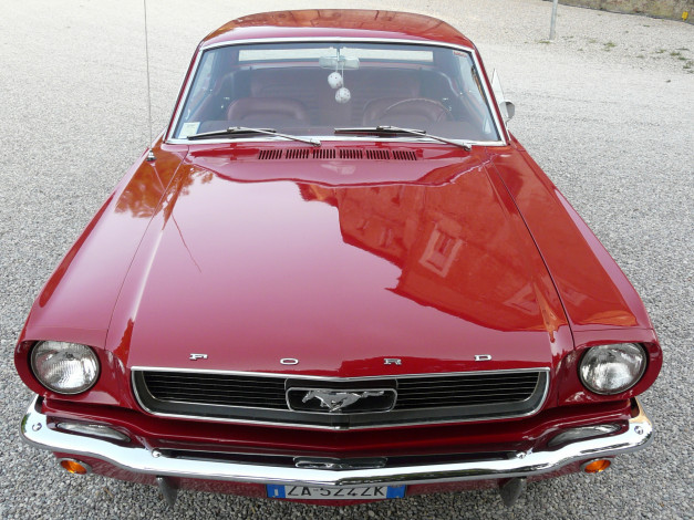 Обои картинки фото автомобили, mustang