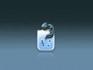 Картинка рисованные минимализм ящекица