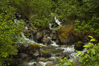 Картинка природа реки озера река лес