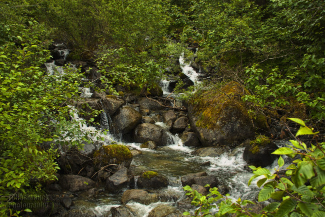 Обои картинки фото природа, реки, озера, река, лес