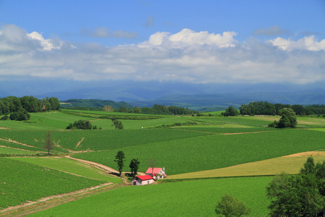 Обои картинки фото природа, поля, пейзаж