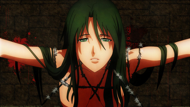 Обои картинки фото rin, ~daughters, of, mnemosyne~, аниме, mnemosyne, no, musume, tachi, шипы, asogi, девушка, проволока