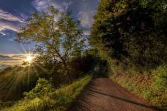 Картинка природа дороги рассвет