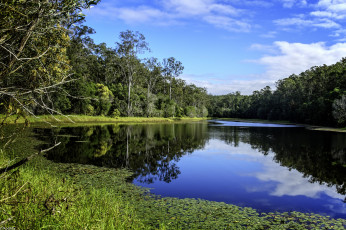 Картинка природа реки озера небо деревья река