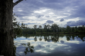 Картинка природа реки озера вода деревья река