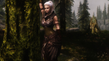 Картинка видео+игры the+elder+scrolls+v +skyrim фон взгляд девушка