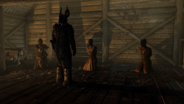 Картинка видео+игры the+elder+scrolls+v +skyrim пленицы существо фон взгляд девушки