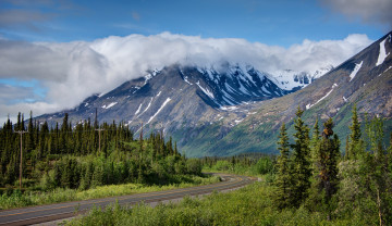 Картинка природа дороги горы лес