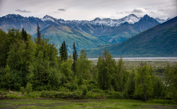 Картинка природа горы лес